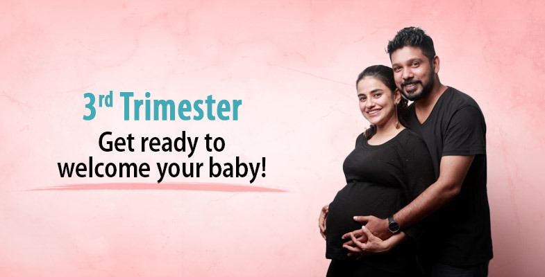 3rd Trimester